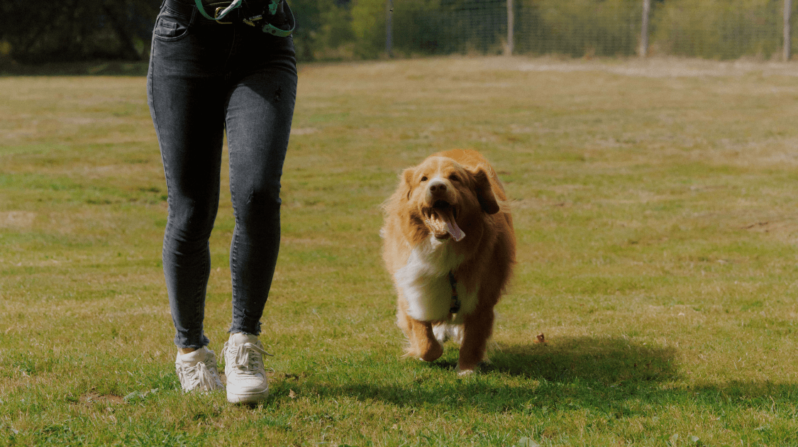 Ontwerp zonder titel (8).png