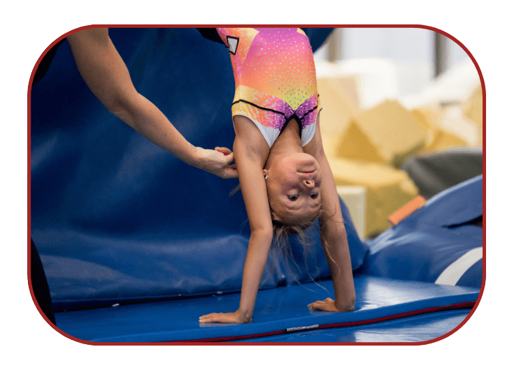 Card Cover Placeholder