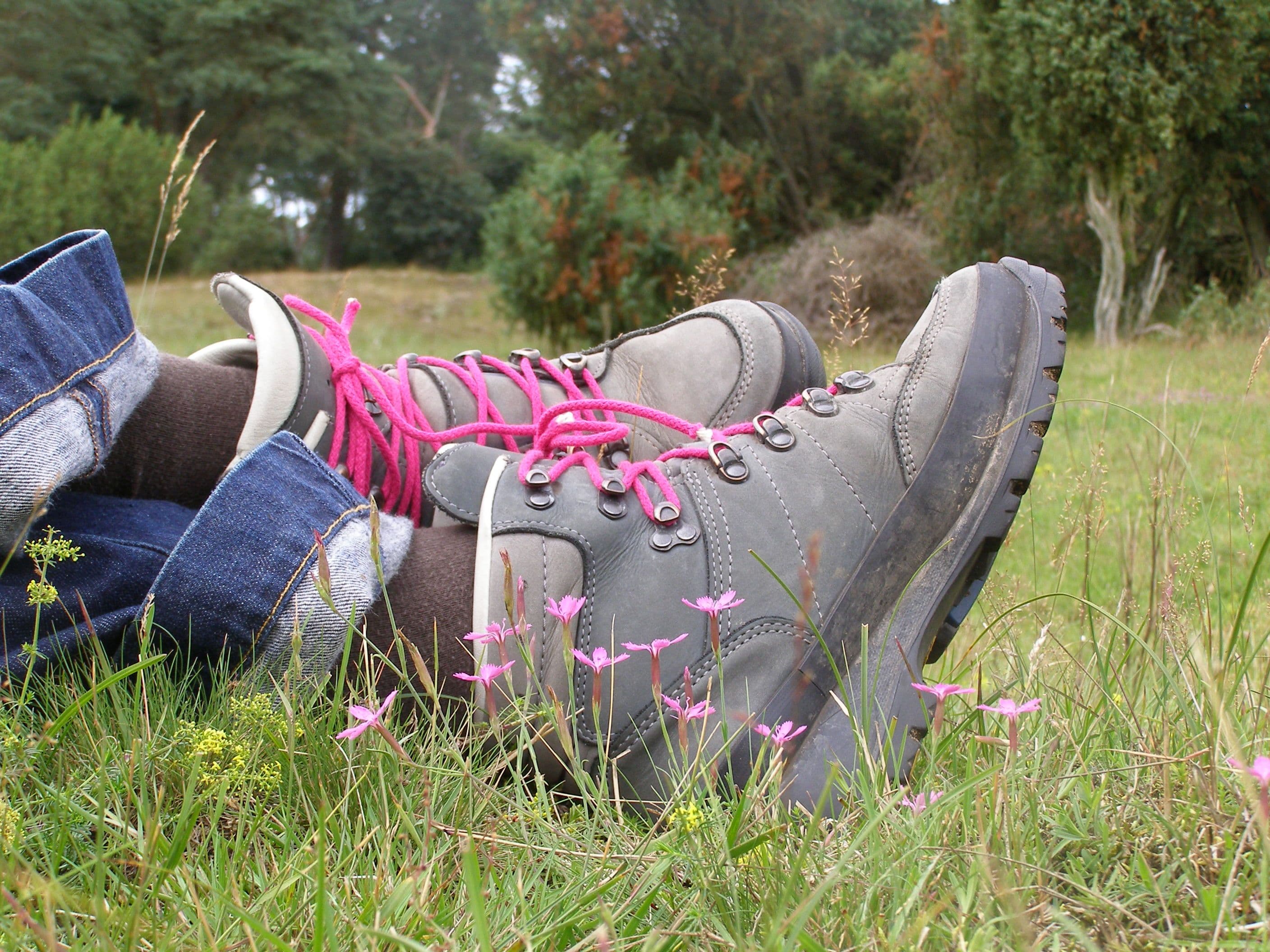 Card Cover Placeholder