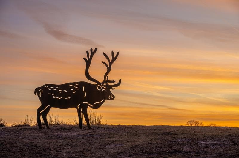 Card Cover Placeholder