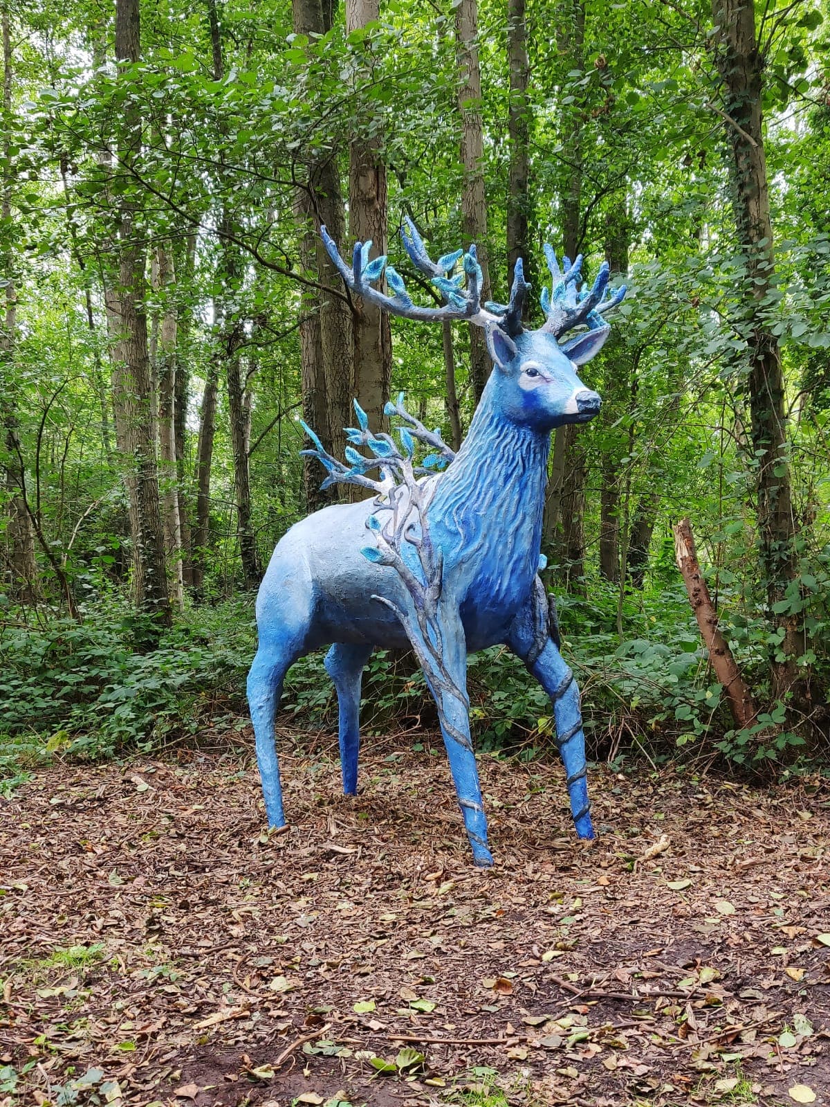 Domein Bovy - Het Hazenpad - Hert