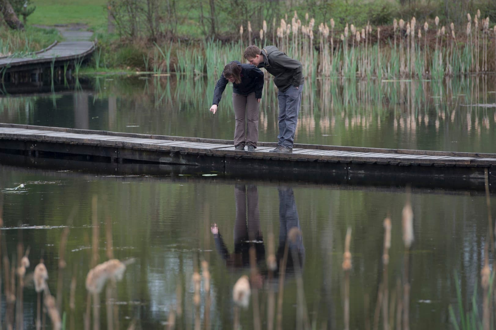 Card Cover Placeholder