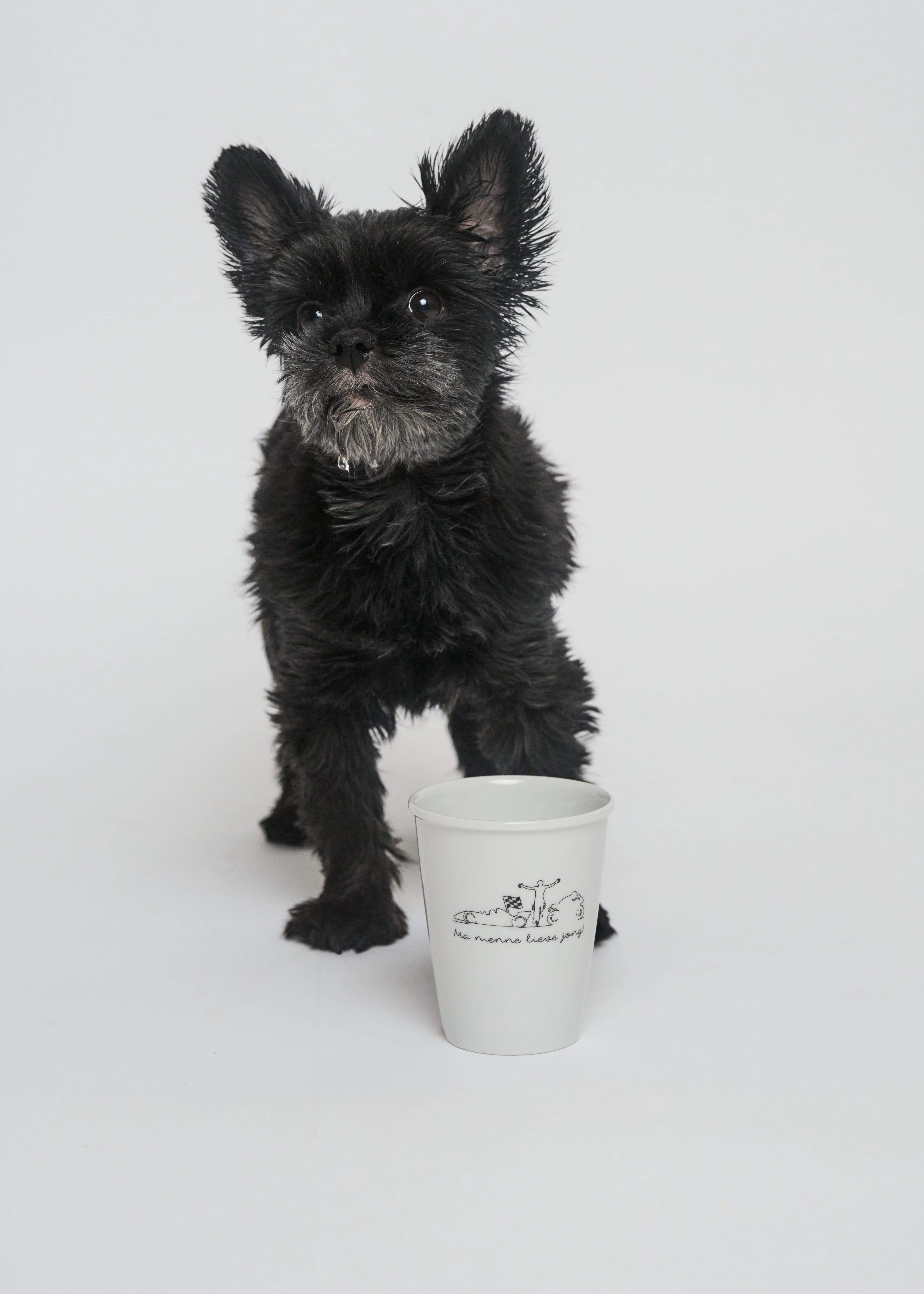 Heusden-Zolder – ©Annika Wallis – 211125 – 14h27m44s - Heusden-Zolder503172.jpg