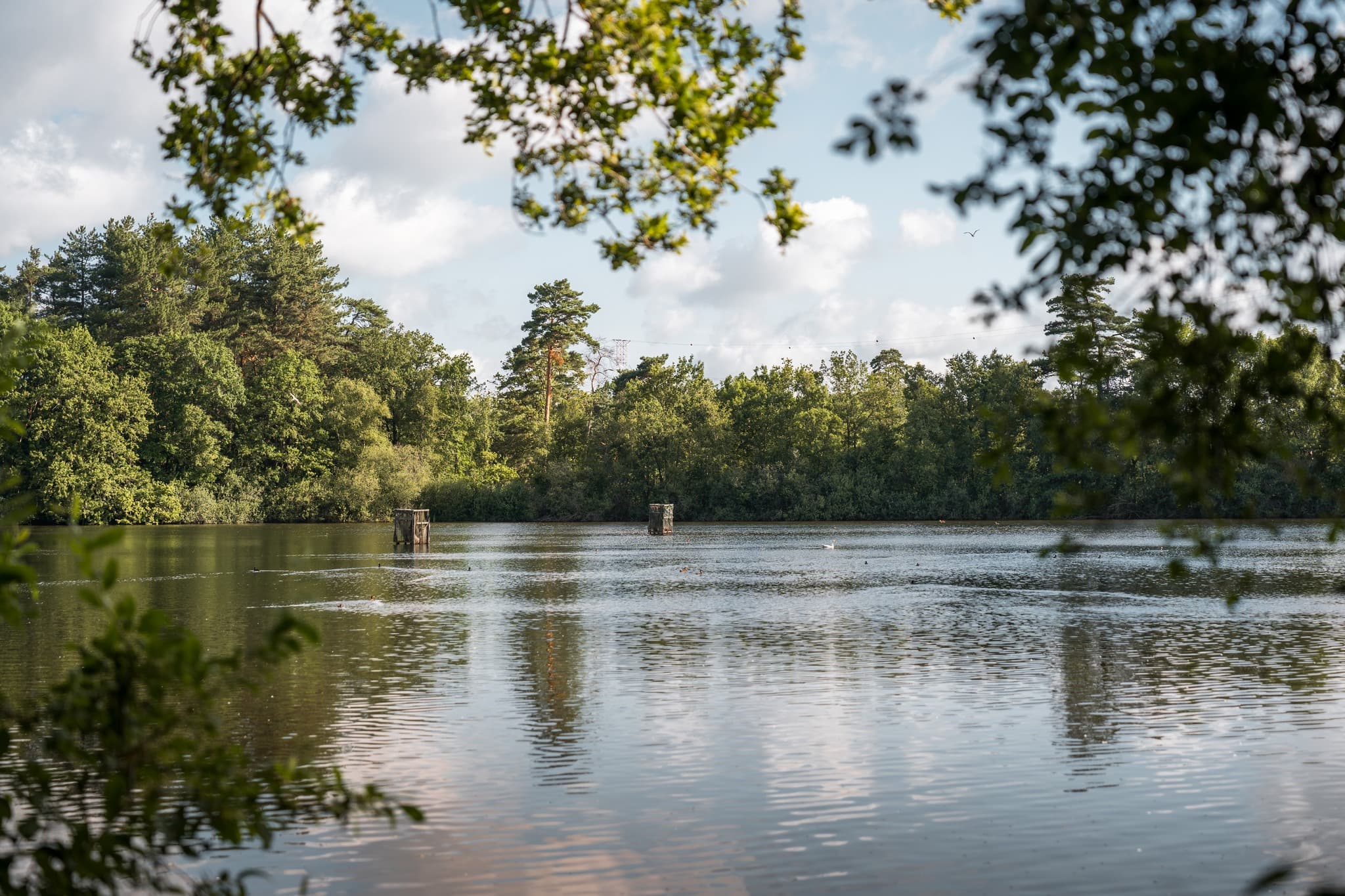 Card Cover Placeholder